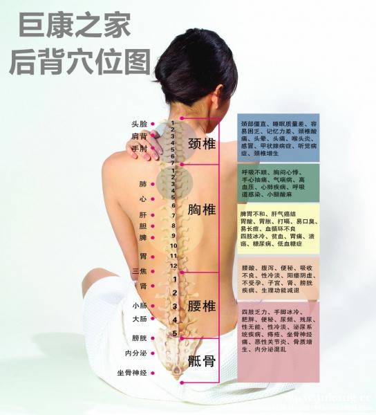 /attachment/editor/20260311/1773189296xlqqn.jpg